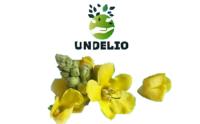 Undelio Herbal Supplements website